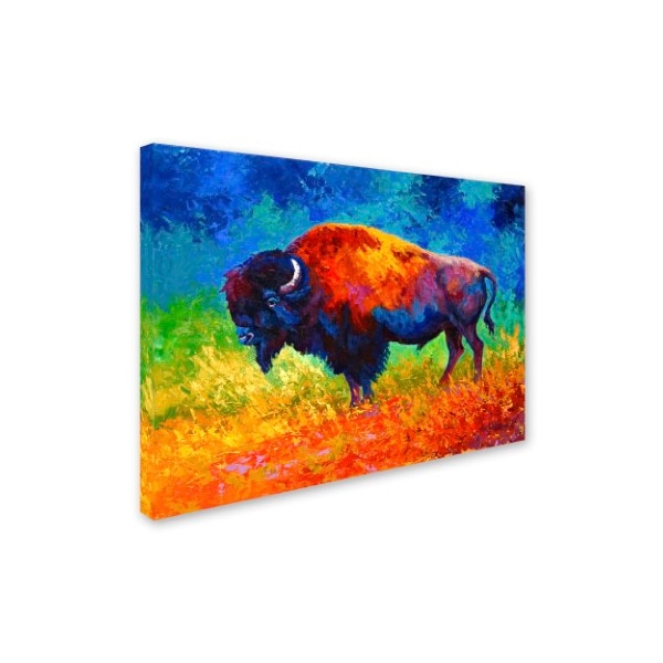 Marion Rose 'Master Of His Herd' Canvas Art,14x19